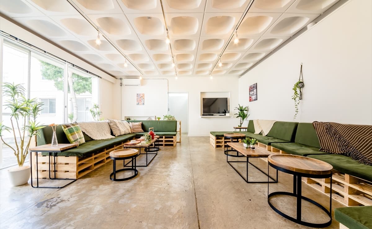 A bright modern shared lounge interior